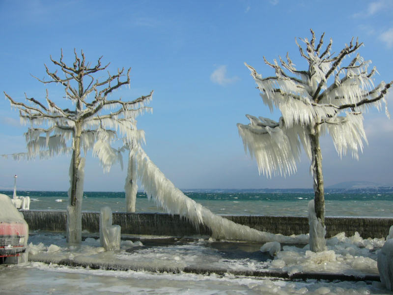 p1000244.jpg